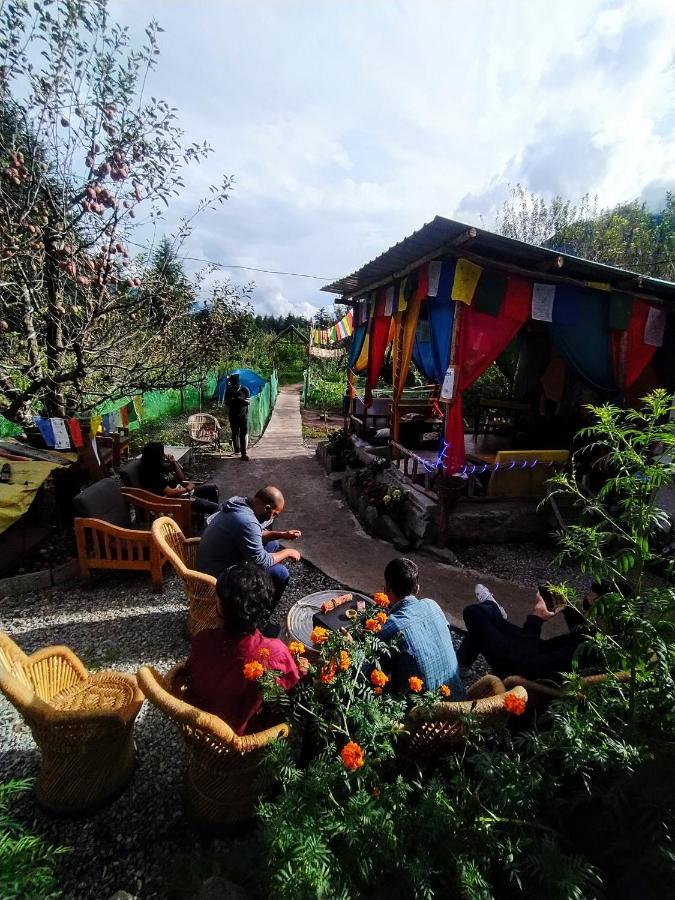 Farm Hostel And Camps Manāli Zewnętrze zdjęcie
